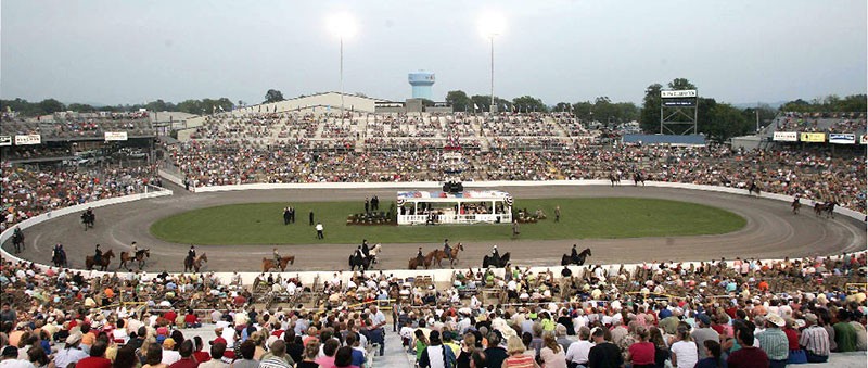 Horse Arena Lighting